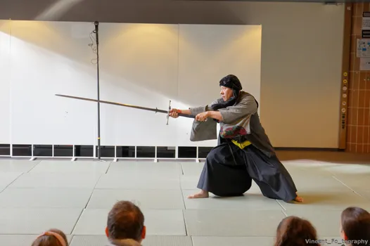 Copyright : Vincent Folliard